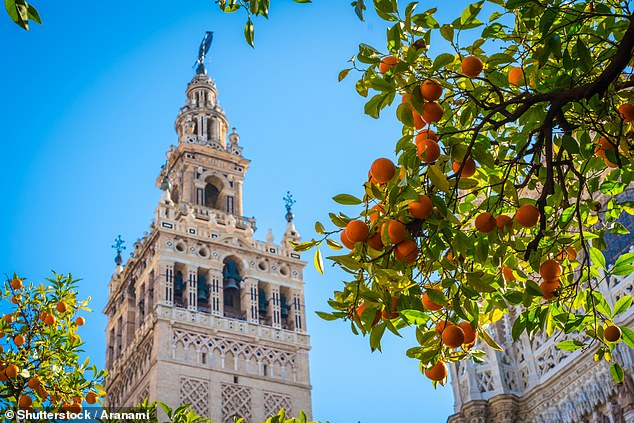 From Seville (above), Spain, a tourist says: 