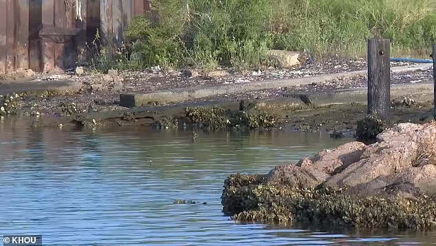 Pictured here are the shallow waters where Bunch had been wading when he became infected with the bacteria.