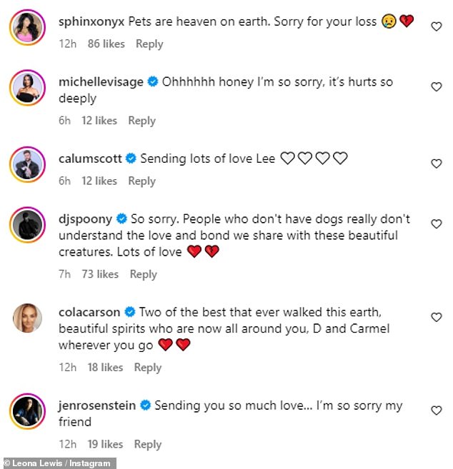 Fans were quick to comment to share their condolences, including Michelle Visage and Callum Scott.