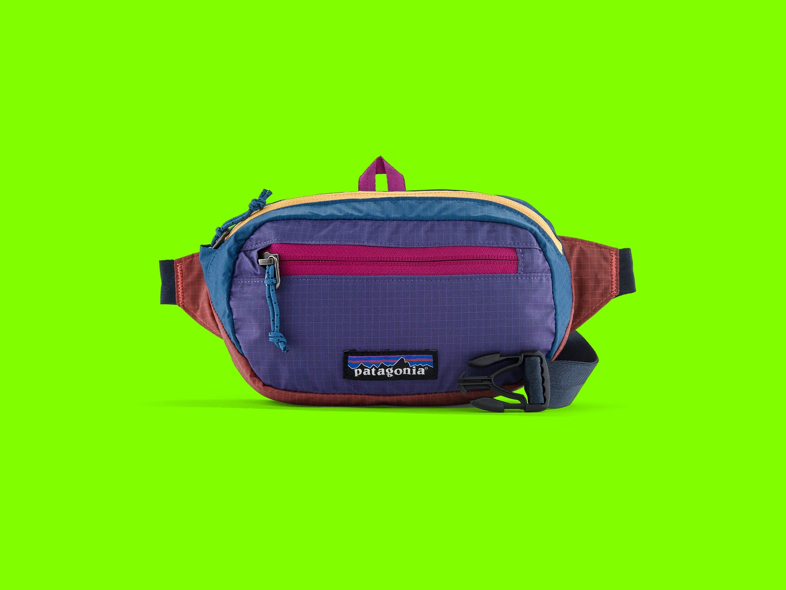 Patagonia Mini Ultralight Waist Pack