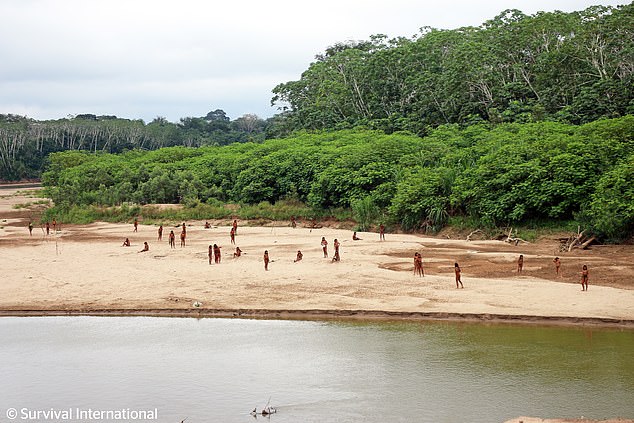 The ethnic group was recently photographed foraging for food on a beach in the Peruvian Amazon, amid fears that their rainforest home is being increasingly cleared by loggers.