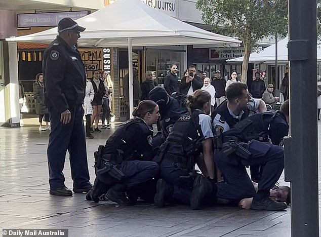 After bystanders pinned the person to the ground, police officers took control and restrained the individual.