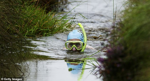 Once a year in August, people flock to Llanwrtyd Wells in Wales to snorkel in a 60-yard peat trench for the Peat Snorkeling Championships.