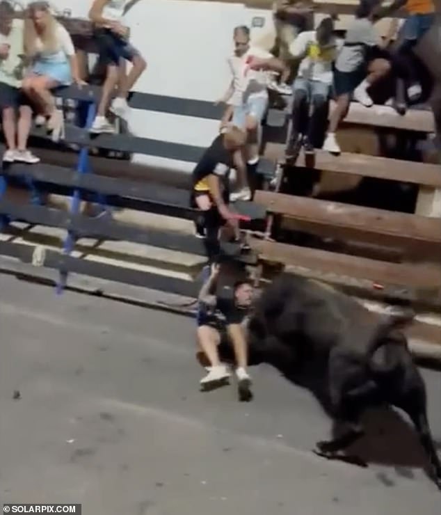 Spectators cringe as a bullfighter is gored in the street during a festival near Benidorm