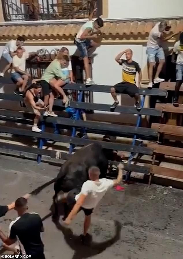 With some weighing more than 1,000 pounds, the bull continued despite attempts to remove it.