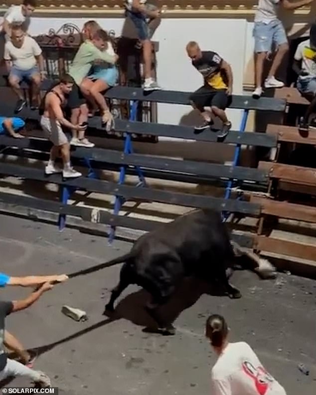 Horrifying scenes showed onlookers pulling the bull's tail as it charged.