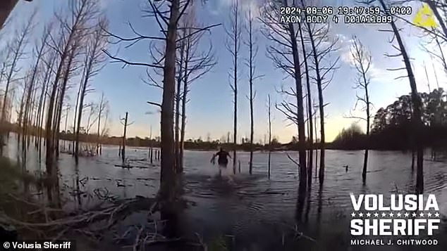 The sheriff is seen jumping into the pond and running towards the young man.