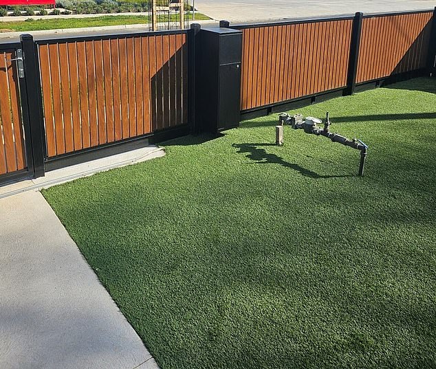 The synthetic turf (pictured) that Mr Yusof had professionally installed and has been ordered to remove by his local council.