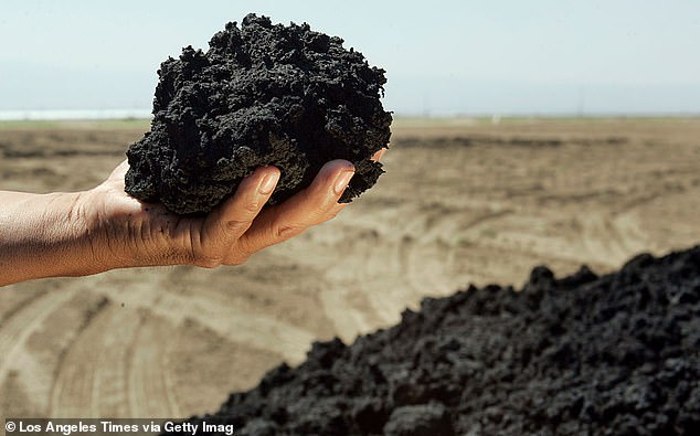 Biosolid fertilizer, pictured here, usually looks like regular fertilizer. It just happens to be made from human waste and PFAS, also known as forever chemicals.