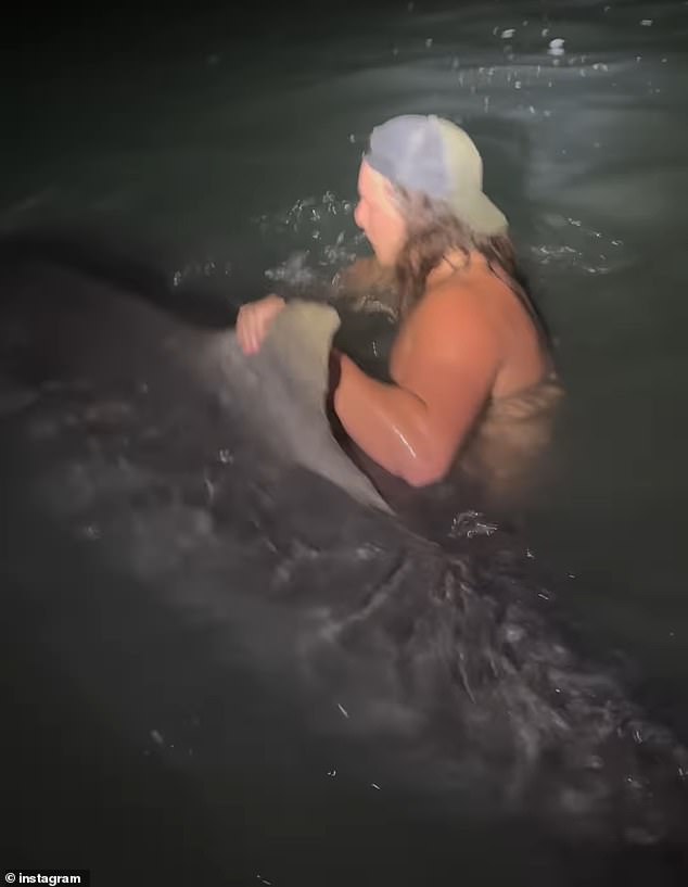 In another video shared by Carson, the daredevil can be seen holding onto the tiger shark's fin as he walks.