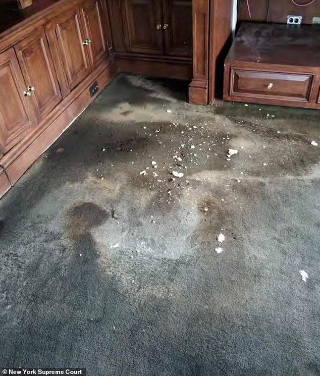 The carpet shows stains and mold.