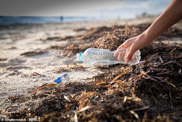 BPA, which is a chemical meant to toughen plastics and prevent metals from rusting, is found in everything from food and drink containers, cosmetics, packaging and even paper receipts.