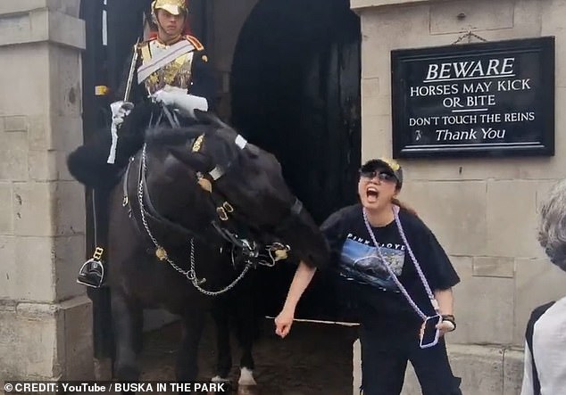 Around the same time Scheana was bitten, another tourist had a much more serious run-in with a Royal Guard horse in July. The horse bit her arm, prompting a scream.