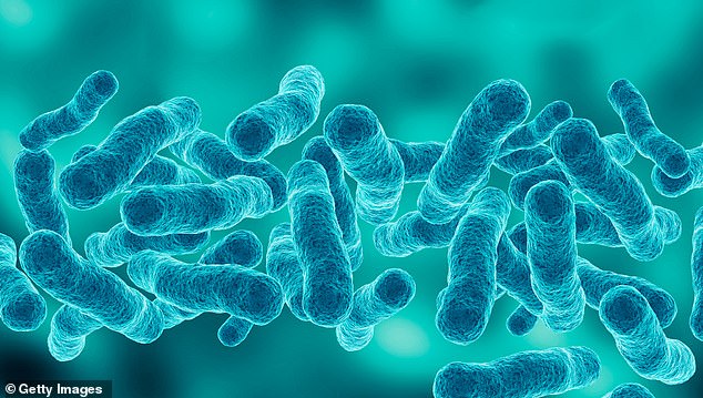 An update from Victoria's Department of Health said there have been 100 confirmed cases as of 26 July and 100 suspected cases to date, mostly in adults aged over 40. Legionella bacteria is pictured.