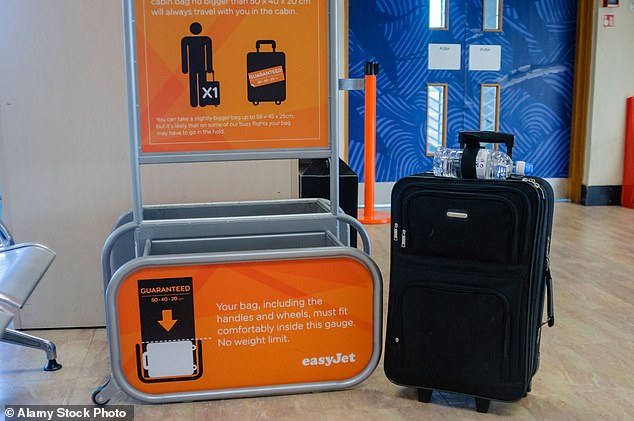 Previously, jet setters were allowed to carry 23kg of free checked luggage (file image)