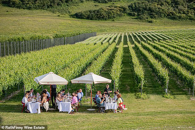 Guests dine amongst the vines at Rathfinny Vineyard (pictured). Lizzie says: 