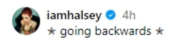 1723227403 329 Halsey deletes her Instagram while modeling the new rock star