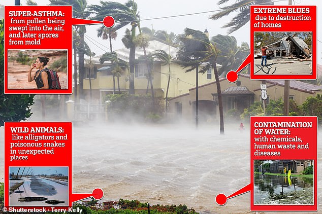 According to experts, the above graphic highlights other health risks that hurricanes can pose. These include mental health problems due to damage, asthma due to pollen being carried along, encounters with dangerous wildlife that have been displaced, and water contamination, which poses a serious health risk.