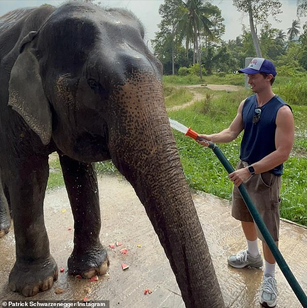 The Midnight Sun star showed off the beauty of Thailand as she posed with an elephant.