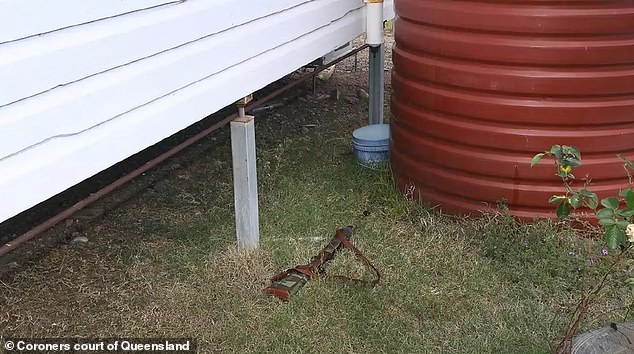 Guns and bullets were also found around and inside the house, including this Ruger used by Gareth Train.