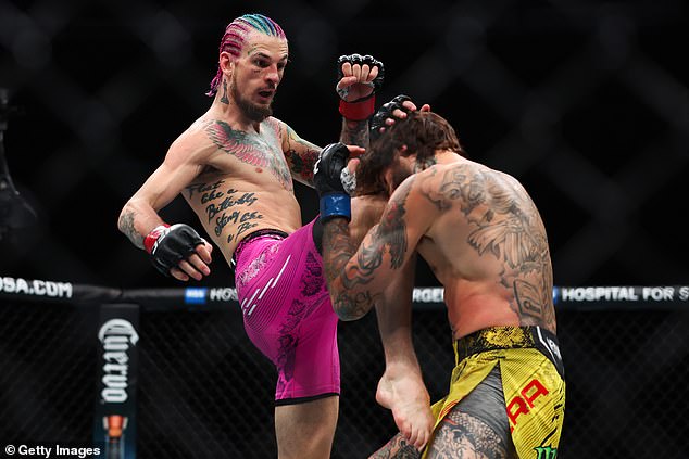 Sean O'Malley fights Ecuador's Marlon Vera during their bantamweight bout at UFC 299