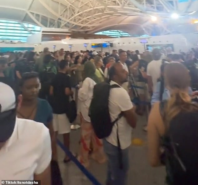 He said there was a large crowd waiting to go through immigration, many of whom were worried about missing their flights (pictured)