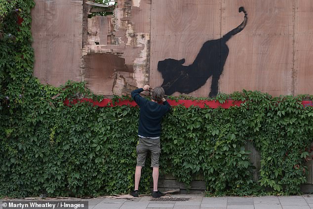 A passerby managed to capture the moment on camera, as the man appeared to be using a hammer to get under the sheet of wood and steal the undoubtedly valuable piece of art.