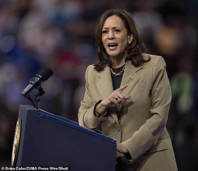 At a campaign rally in Arizona on Friday (pictured), Harris leaned into the growing importance of illegal immigration in border states.