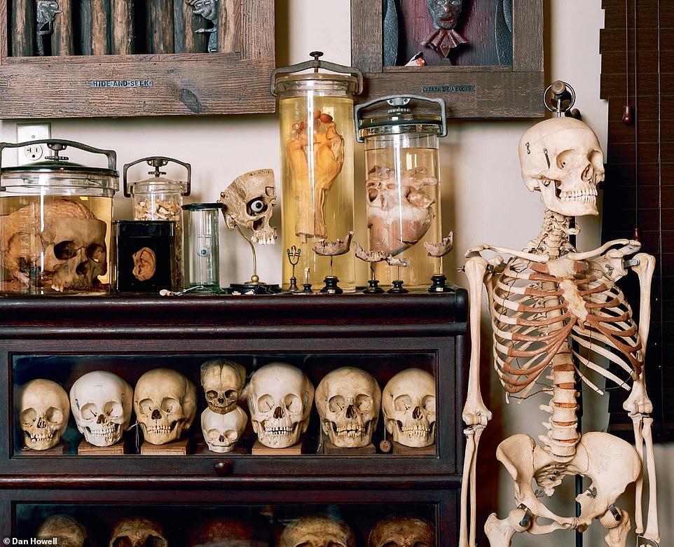 A lawyer's shelf contains 25 skulls, plus wet specimens in jars, including a brain with complete spinal cord, an eyeball and a dissected brain.