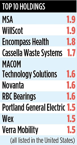 1723352549 297 JPMORGAN US SMALLER COMPANIES INVESTMENT TRUST Battered and bruised but