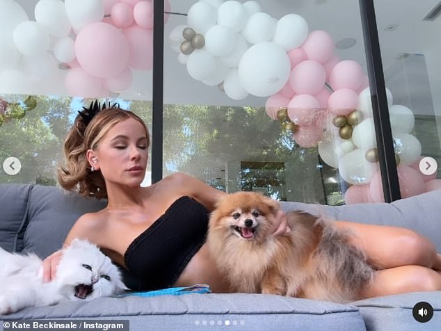 She tried to enlist the help of her cat Willow and her dog Myf for the photo shoot on social media, but the feline didn't last long.