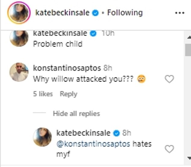 The Underworld star was then asked in the comments section of her post why Willow had attacked her.