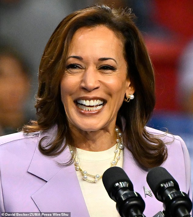 Harris managed to regain 7 percentage points of registered voters who trust the Democratic candidate to handle the US economy.