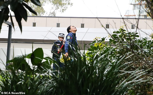 Officers are seen investigating at the scene of the double tragedy.