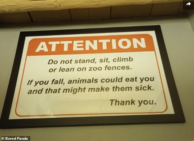 It shouldn't be surprising that a zoo cares about its animals, but isn't this going too far?