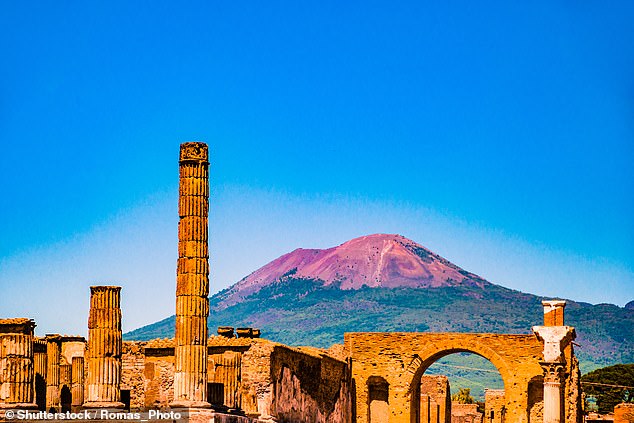 After the eruption, the bodies of Pompeii's victims were preserved in a protective shell of ash before they eventually decomposed (file photo)