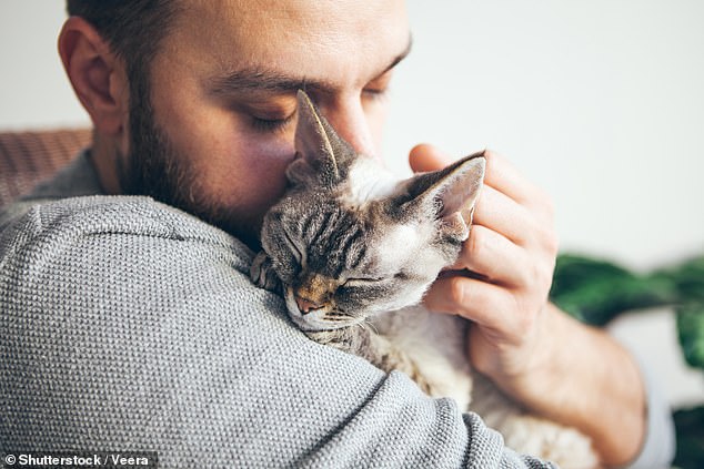 Female cat owners scored higher on neuroticism than male cat owners, supporting the cat archetype. 