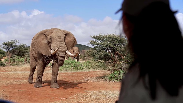 Lily came face to face with an elephant.