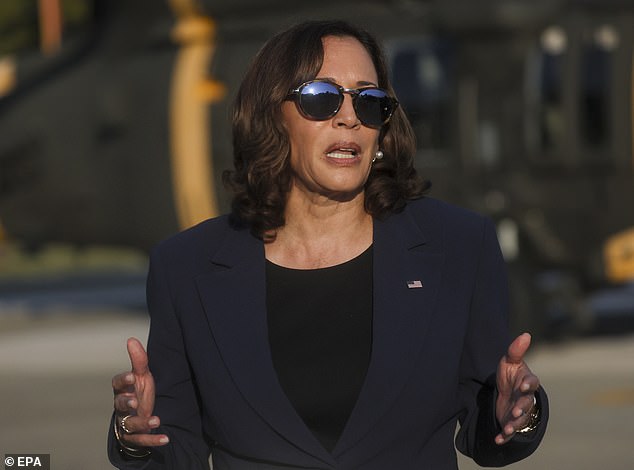 US Vice President Kamala Harris speaks to reporters