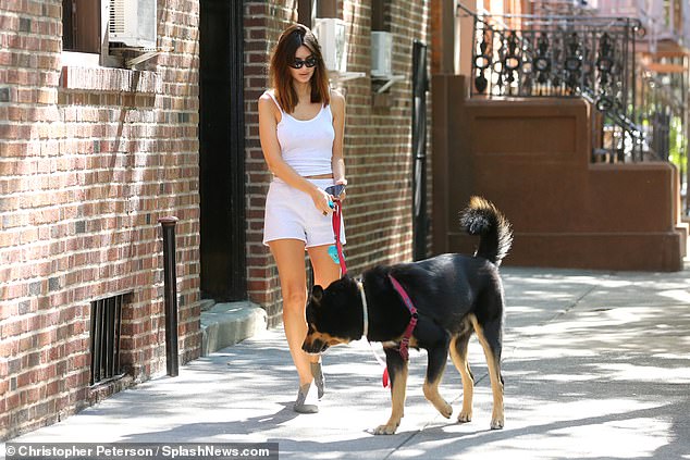 She led her dog on a bright red leash.