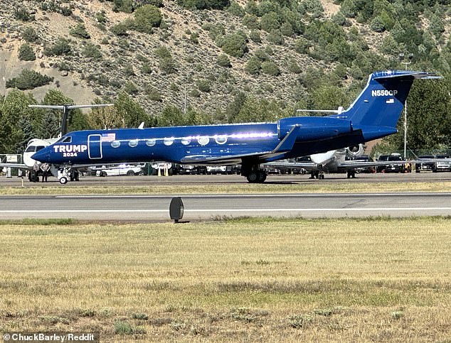 Epstein's old plane with Trump 2024 emblazoned on it was photographed at Aspen Airport on Saturday