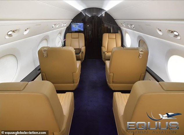 The plane was first declared airworthy in March 2008. Federal Aviation Administration records show it was registered to Epstein's company, JEGE LLC, in August 2013.