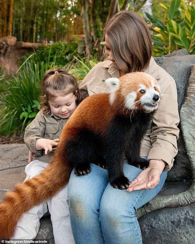 Some fans were quick to question whether the panda named Teddy had in fact been photoshopped to look like he was standing on Bindi's lap in the second image.