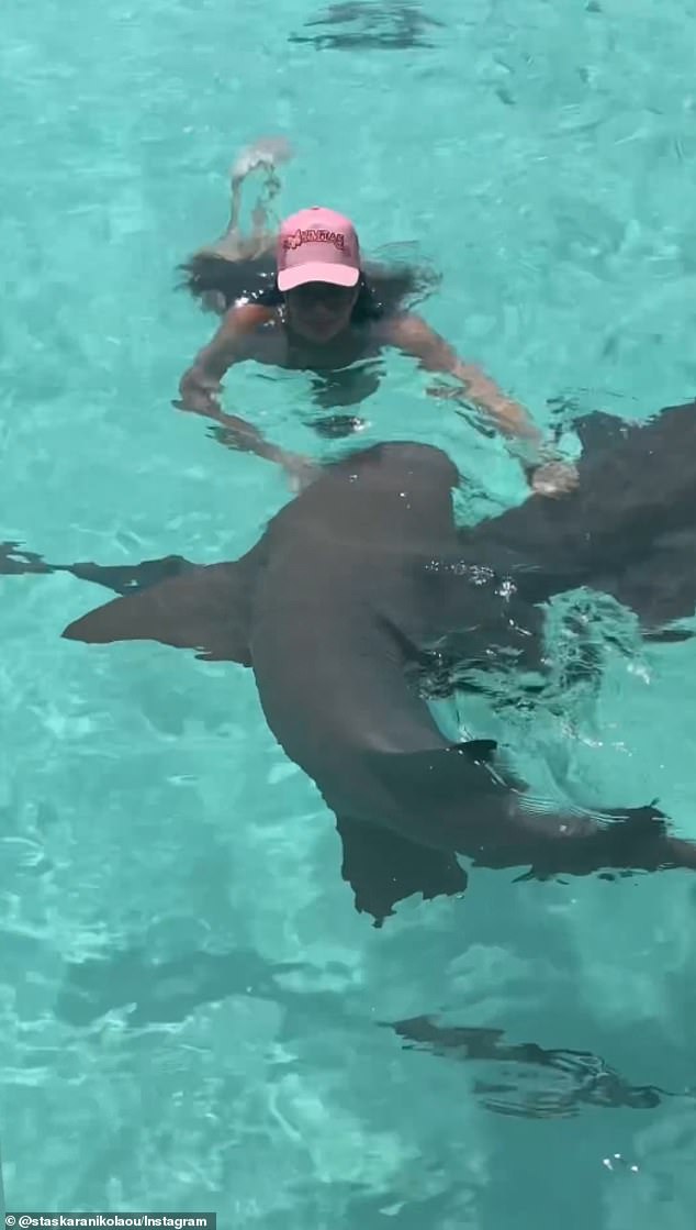 She also shared a clip on her Instagram Story of her swimming alongside the sharks and petting them as they passed by her.