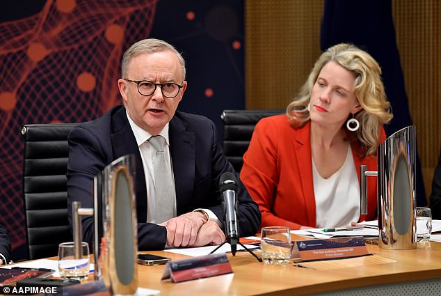 Mr Albanese (pictured left) must be wondering when his new Housing Minister Clare O'Neil (pictured right) will finally stop making mistakes.