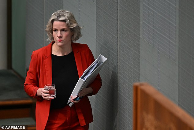 Clare O'Neil (pictured), who has been sacked from the Home Office, is not finding life any easier at the Department of Housing, where she has already been caught making things up several times.