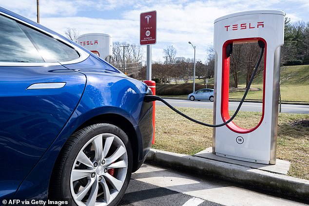 The pair discovered that many of the power stations had Tesla chargers (pictured) that are not designed for or compatible with BYD electric vehicles.