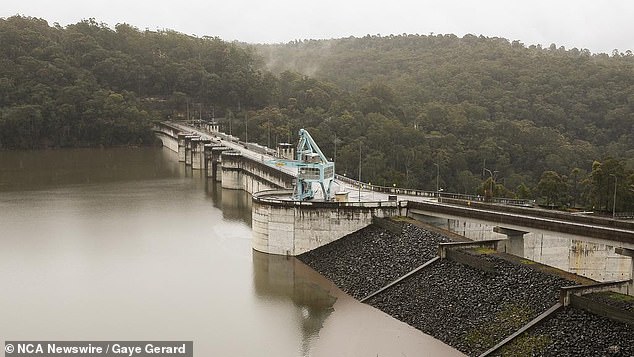 Dr Mariann Lloyd-Smith, senior policy adviser at the International Pollutants Elimination Network, said Australia was falling behind other countries on drinking water safety (pictured is Warragamba Dam in New South Wales).