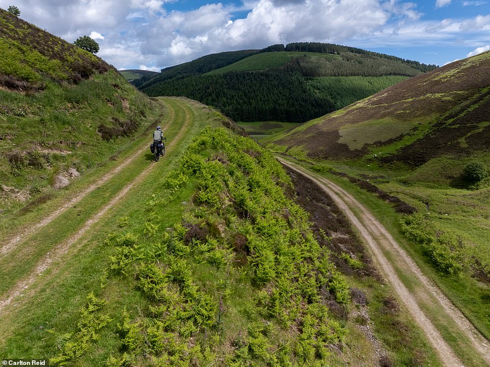 Here Carlton climbs to Dunslair Heights north of the nearby Glentress 7Stanes mountain bike (MTB) trail centre.