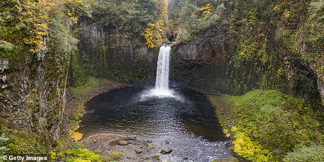 She is also the first female diver to attempt the jump from this spot. Photographer Steven Donovan captured the stunning footage in an Instagram video shared in July.